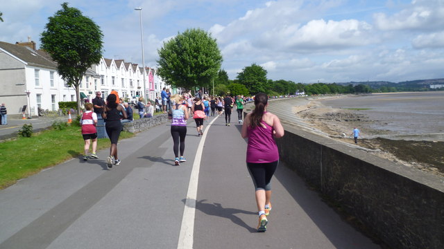 Sports Swansea